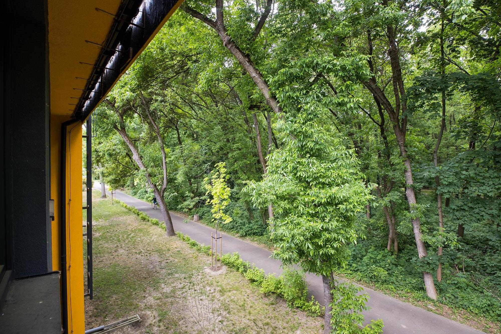 Apartment Shortstaypoland Batorego *